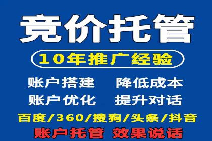 案例分析：托管SEM竞价助力电商旺季促销